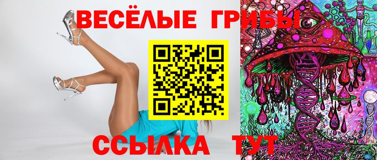 Галлюциногенные грибы Psilocybine cubensis Белорецк